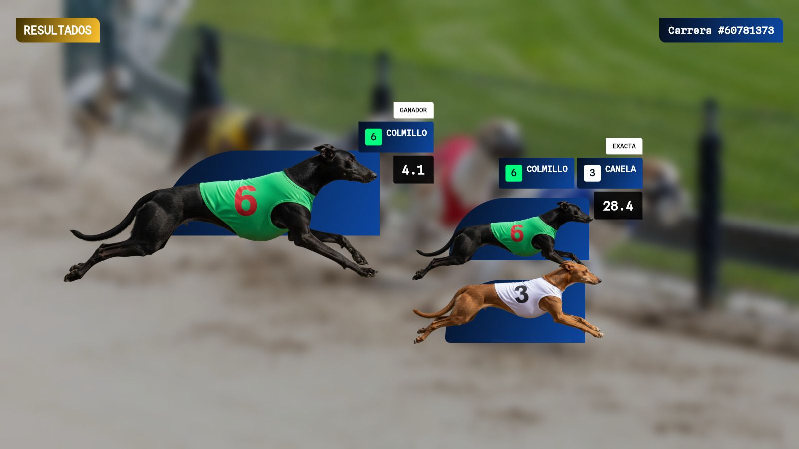 Pantalla de resultados de Galgo Ganador mostrando el perro ganador y la exacta con sus pagos